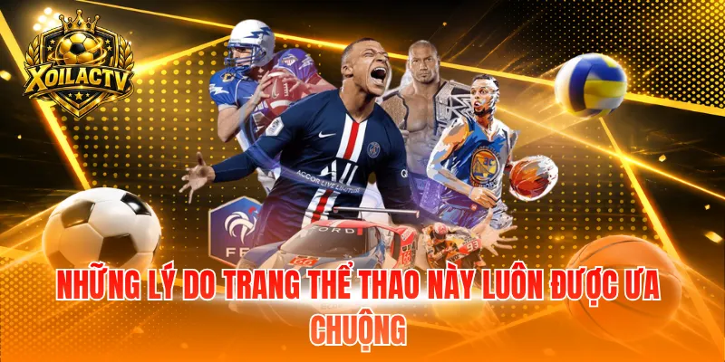 Những lý do trang thể thao này luôn được ưa chuộng 